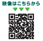 映像はこちらから